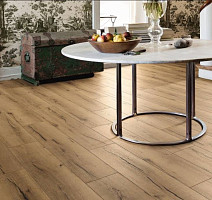 Haro Tritty 100 Campus 4V ДУБ ИТАЛИКА КРЕМОВЫЙ 532060 фото 2 | FLOORDEALER